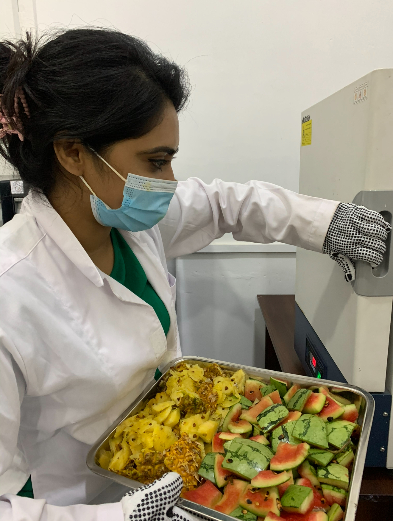 Sanali preparing pineapple and watermelon waste as feedstock for PHA biopolymer research