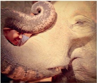 A close and gentle interaction with an elephant