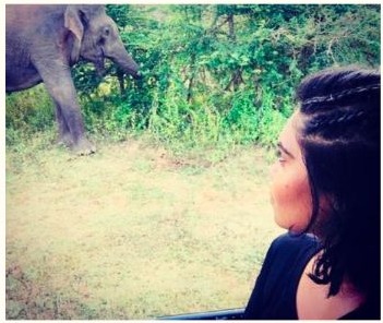 Sanali observing an elephant in a forested landscape