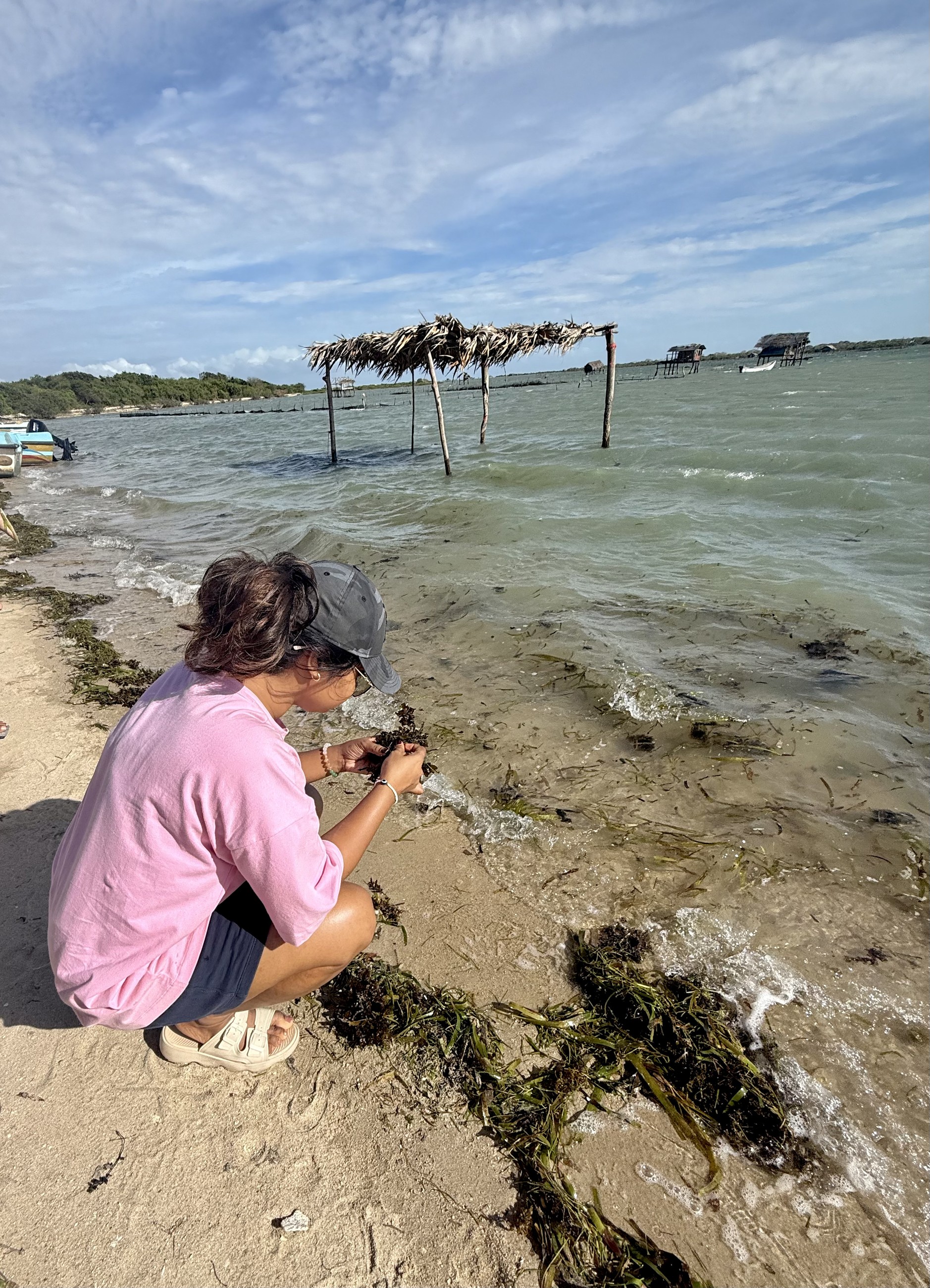 Sanali observing and documenting seaweed at the shoreline